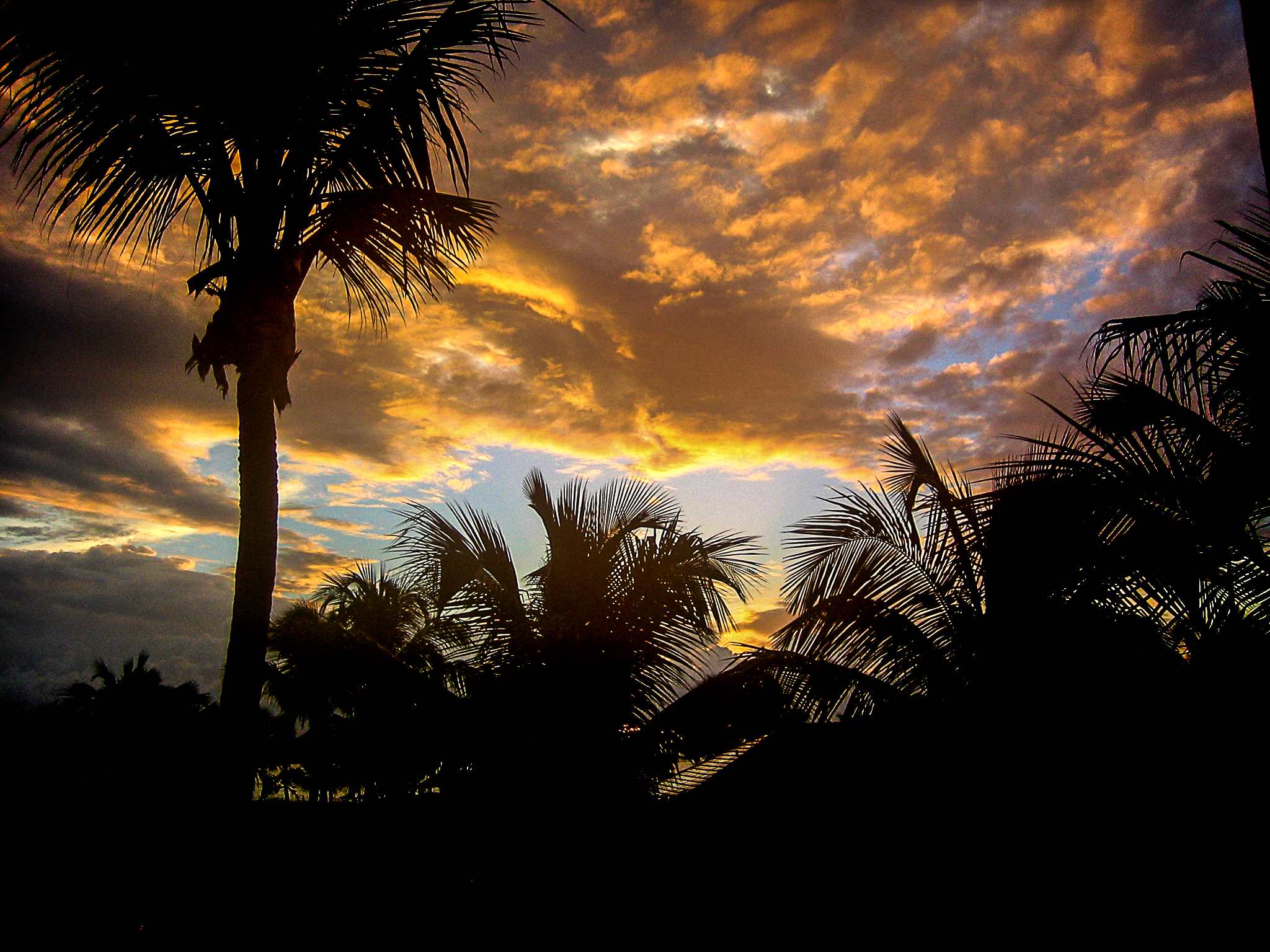 Bahamas Sunset | Shutterbug